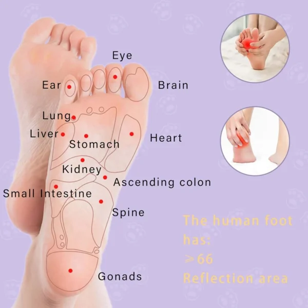 Blueidea Foot Massager Roller - Purple Dual Foot Massage Roller for Relief Tired Feet, Pain and Plantar Fasciitis, Massage Tools for Women and Men - Image 8